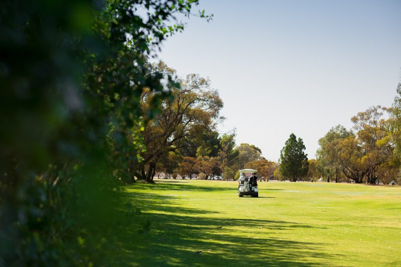 golf course at hotel